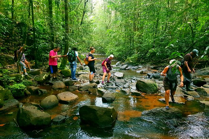 Sinharaja Rain forest sri lanka