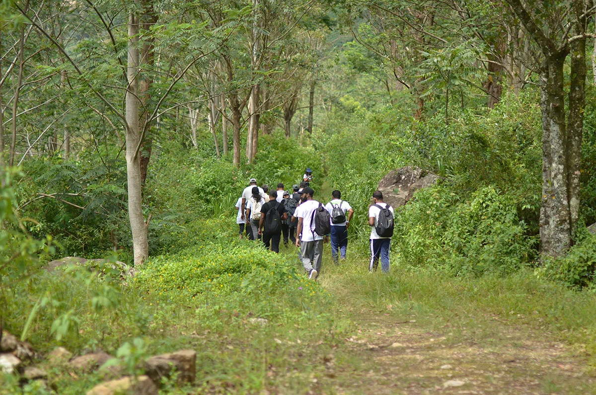 pekoe_trail_stage_1_amidst_jungle
